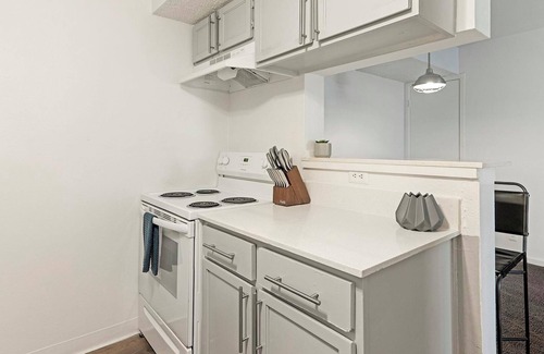 Windsor Park Apartment | Landing at Mueller Flats - 1 Bedroom in Windsor.