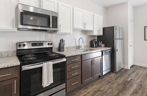 Norfolk - Virginia Beach Apartment | Landing at Park 216 Apartments - 1 Bedroom in Downtown Suffolk