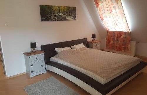 Sfantu Gheorghe House | Lara Guest House