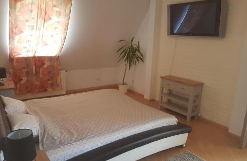 Sfantu Gheorghe House | Lara Guest House