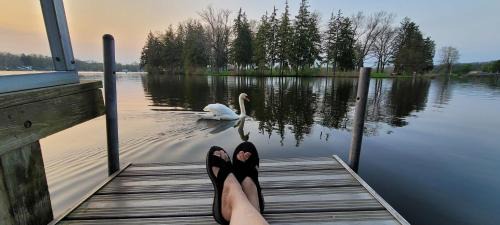 Paw Paw House | Large 1 BR Cottage, KING BED on the Lake