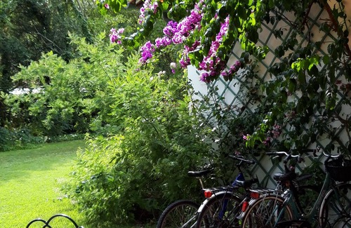 Massa Villa | Large 60s villa with large garden, near the sea.