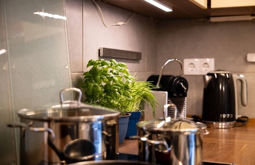 Randersacker Apartment | Large, beautiful vacation apartment with small garden in the wine village of Randersacker