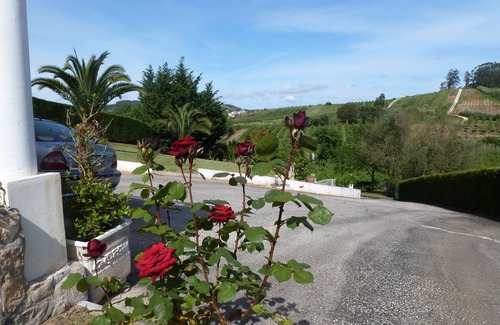 A Dos Francos Villa | Large & Comfortable holiday home with private pool & Free WiFi