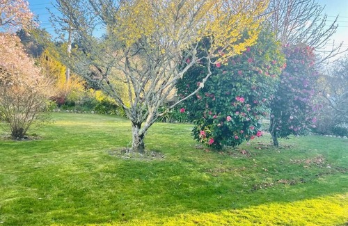 Riwaka Villa | Large family home in Riwaka near Kaiteriteri