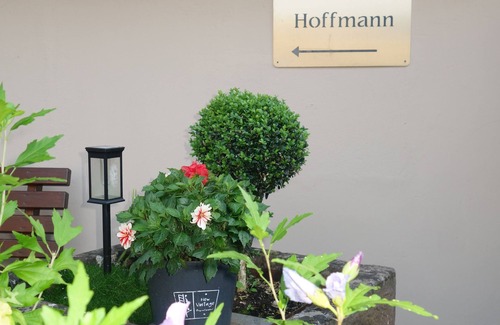 Nimshuscheid Apartment | Large, high-quality furnished vacation apartment with sauna in the Eifel