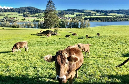Sulzberg House | Large holiday home with a swimming pond, in the Allgäu by the lake