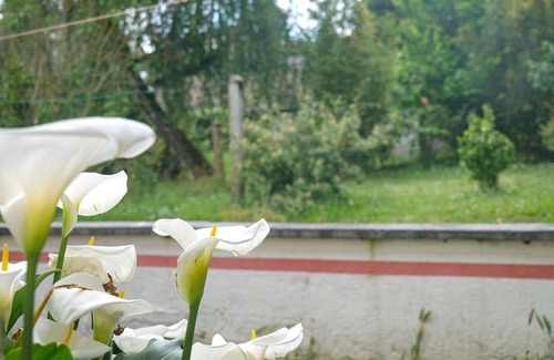 Deux Croix-Banchais House | Large house in the Deux Croix district of Angers - sleeps 15