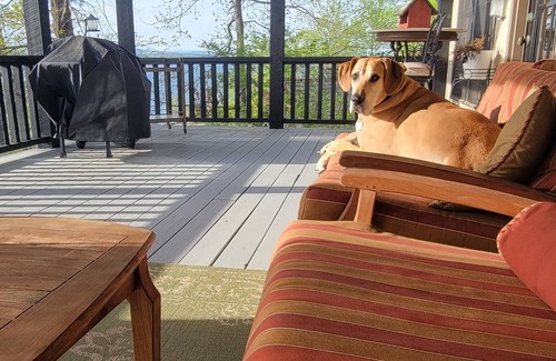 Ten Mile House | Large lake property in Ten Mile Tn with amazing views, two boat slips, fire pit