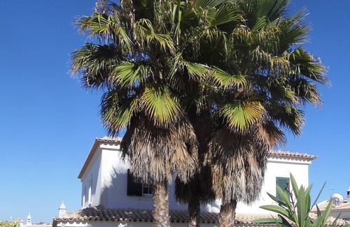 Monte Raposo Villa | Large Luxurious Villa With Two Private Pools And Free Wi-Fi.