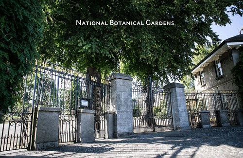 Glasnevin House | Large Luxury Architect Designed House, Sleeps 15. City 15 mins by bus.