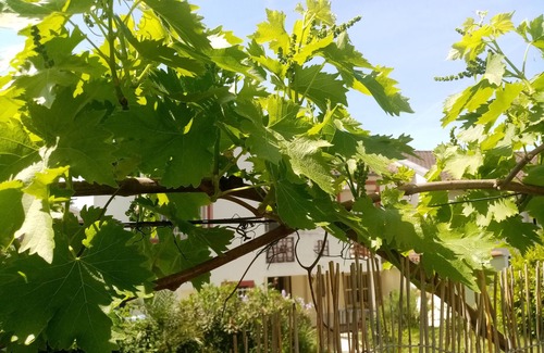 Cote Pavee Villa | Large middle-class villa near town center