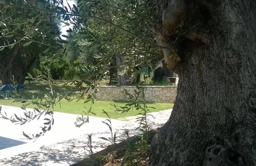 Mattinata Villa | Large suite Immersed in greenery near the sea ideal for families