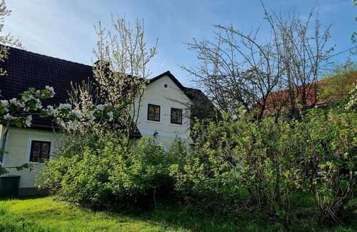 Sonntagberg Apartment | Large vacation home with natural garden in idyllic secluded location