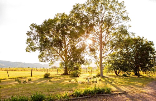 Pokolbin House | Large villa on private vineyard in prime and secluded location