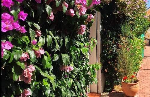Laroque-des-Alberes Apartment | Laroque des Alberes - Class 3 * Apartment with Pretty Private Garden