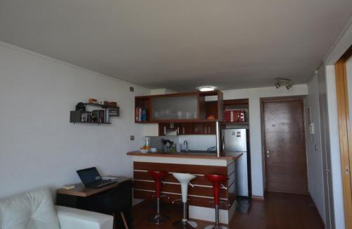 Apoquindo Apartment | Las Condes, Excelentes Apartamentos - Sofia Camilla Propiedades