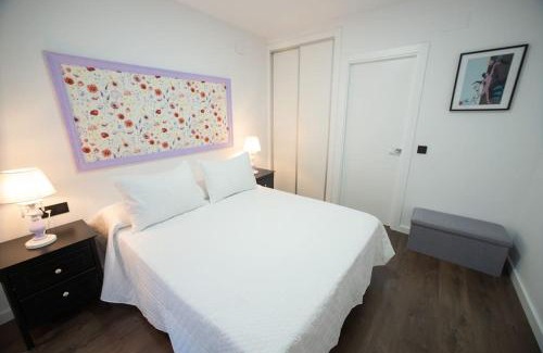 Plasencia Apartment | Las Dos Catedrales 2