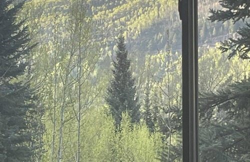 Vail Cabin | LAST MINUTE BARGAIN Vail Cabin with Spectacular Views, one of a kind views!