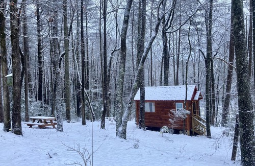 Clarkesville Cabin | Laurel Tiny Home at Bleu Canoe Campground