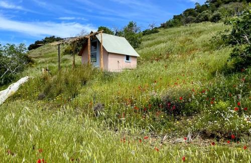 Sagiadas House | Lava houses