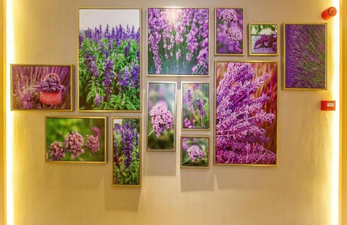 Weihai Hotel | Lavande Hotels Weihai Weigao Square Branch
