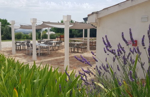 Monsano Apartment | Lavender apartment in villa with swimming pool on the ground floor with private garden