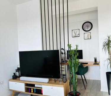 Pipera Apartment | LC Apartments Pipera