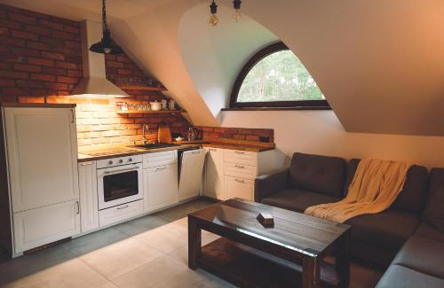 Koscierzyna Apartment | LEŚNA STRZECHA APARTAMENTY