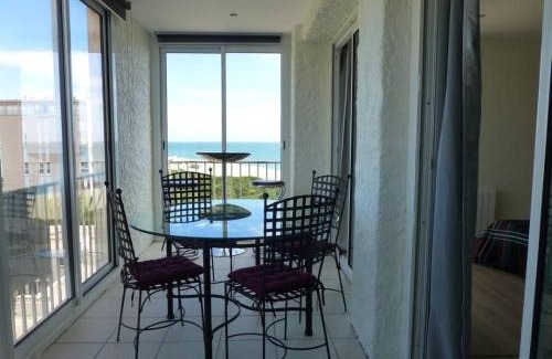 Argeles Plage Apartment | Le Belvédère - T2 en front de mer