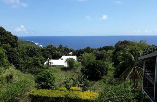 Sainte-Rose House | LE BIGARADIER