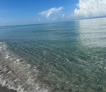Bonita Springs Villa | LE BLEU Charming Poolside Retreat