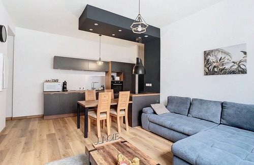 Voiron Apartment | LE CÈDRE de JORI : 55m2, 2 bedrooms, downtown