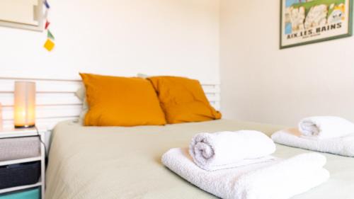 Aix-les-Bains City Center Apartment | Le Camp de Base - Studio vue Montagne