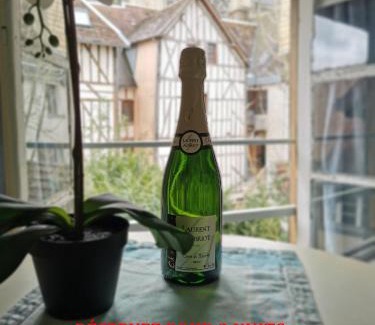 Old Town Apartment | Le Chat De La Cathédrale - Calme - Jardin - Wifi