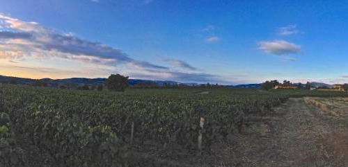 Saint-Germain-Nuelles Bed & Breakfast | Le Clos du Cher en Beaujolais