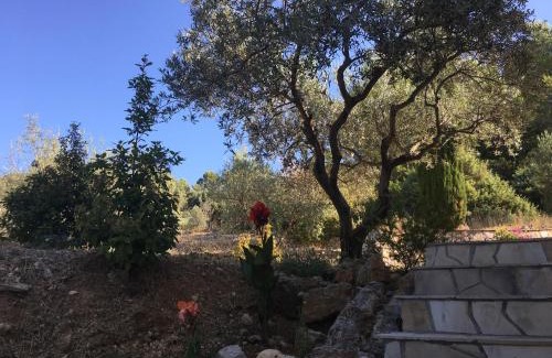 Flayosc Bed & Breakfast | Le Clos en Provence