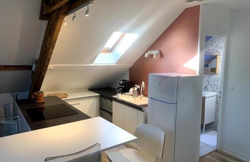 Aix-les-Bains City Center Apartment | Le Cocon Charmant Appartement, calme, coeur de ville, 2 chambres 2 salles de bains