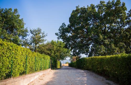 Cassino Bed & Breakfast | Le Colonne