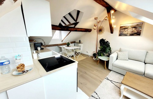 Notre-Dame Apartment | Le cosy Macaron - At the heart of Versailles