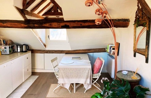 Notre-Dame Apartment | Le cosy Macaron - At the heart of Versailles