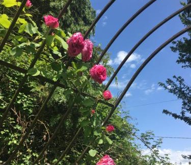 Epaignes Bed & Breakfast | Le Cottage Mirabelle