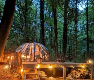 Champion Other | Le Dôme de Namur - Une nuit insolite dans les bois