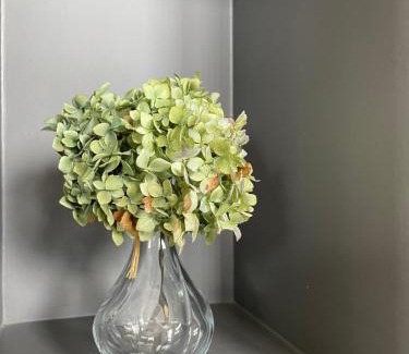 Florenville House | Le Daguet pour 4