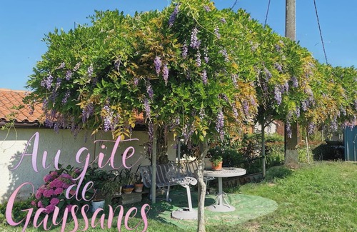 Saint-Arroumex House | Le Gîte De Gayssanes: Charm and Tranquility in the Heart of Nature
