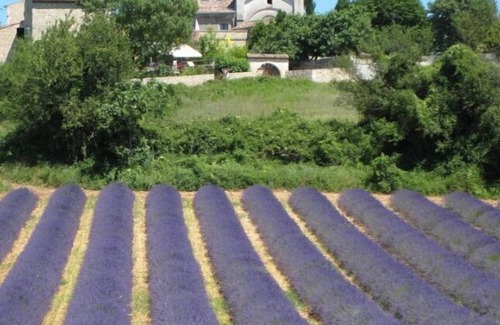 Saint-Privat-de-Champclos House | Le Mûrier - Gîtes "Mas des Lavandes"