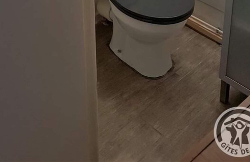 Griffon - Royale Apartment | Le Magneval - Lyon 1ER Arrondissement