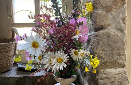 Villebaudon Bed & Breakfast | LE MONTESSER