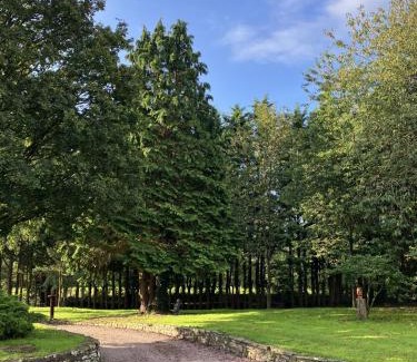 Villebaudon Bed & Breakfast | LE MONTESSER