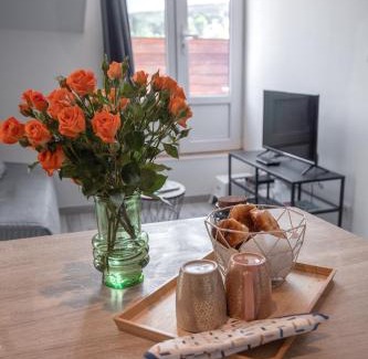Bellevue - Le Mont - La Jomayere Apartment | Le Nid vue et détente à St Etienne